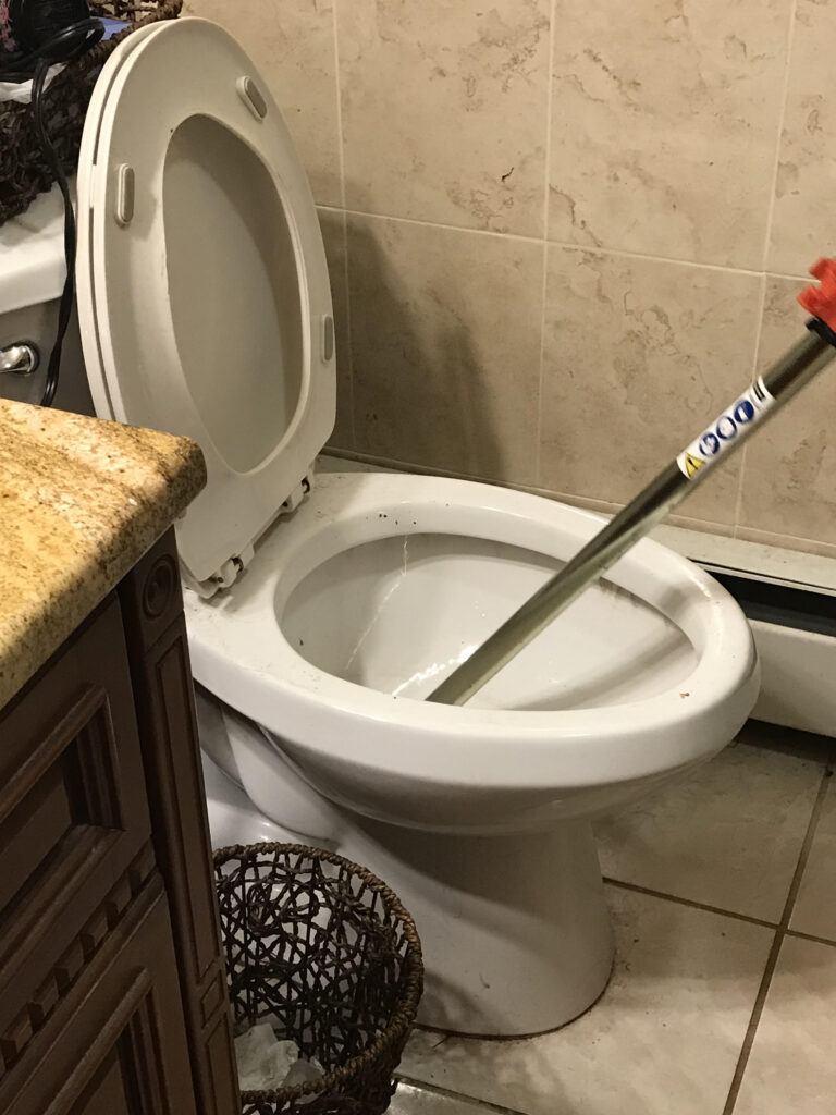 Toilet Auger Cleaning Services